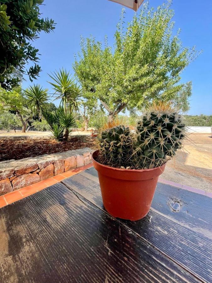 Residenza Fumarola Διαμέρισμα Ostuni Εξωτερικό φωτογραφία