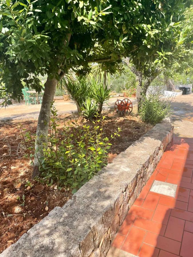 Residenza Fumarola Διαμέρισμα Ostuni Εξωτερικό φωτογραφία