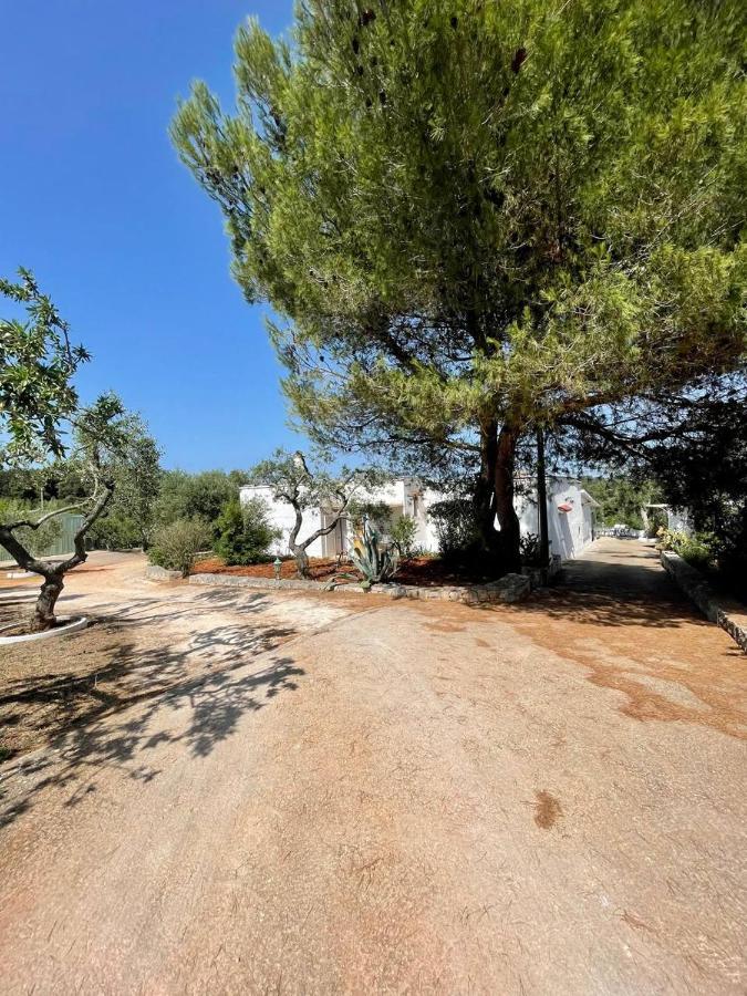 Residenza Fumarola Διαμέρισμα Ostuni Εξωτερικό φωτογραφία